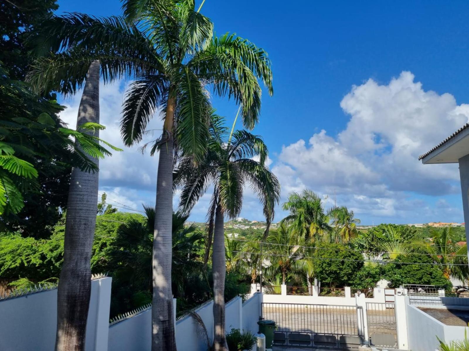 וילמסטאד Studio Apartment Volterra Curacao מראה חיצוני תמונה